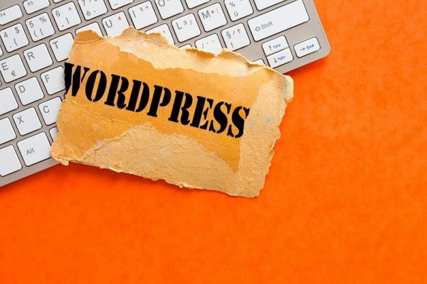 what-are-tags-in-wordpress-blog-wp-themes