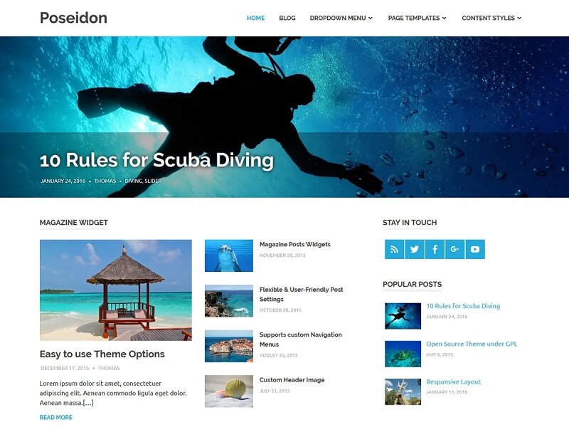 Poseidon: Best Free WordPress Themes