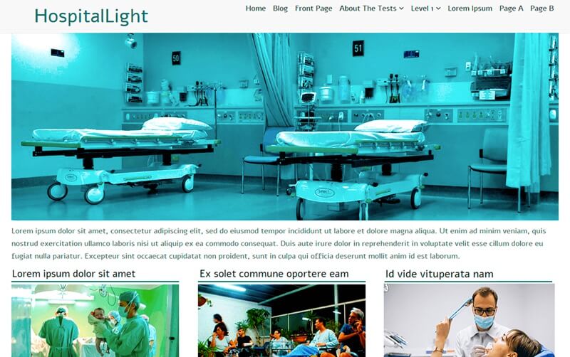 HospitalLight 6 Best Free Hospital WordPress Themes In 2024 6 Best Free Hospital WordPress Themes In 2024 HospitalLight 1
