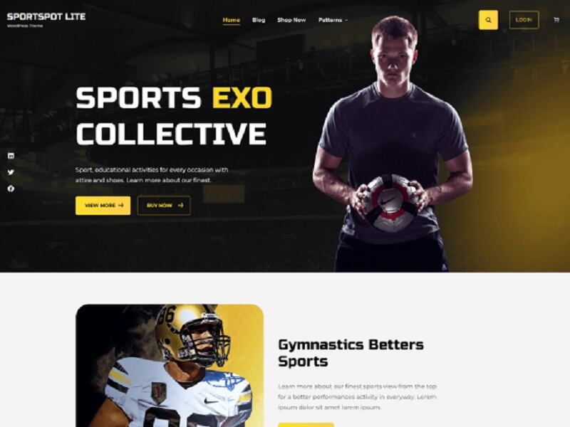 How to Build a WordPress Sports Website for Any Sports Organization   How to Build a WordPress Sports Website for Any Sports Organization 1