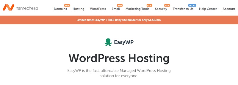 Namecheap  How to Make a Website for Professional Services In WordPress Namecheap