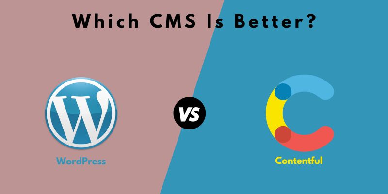 wordpress vs contentful  WordPress vs Contentful Which CMS Is Better? wordpress vs contentful