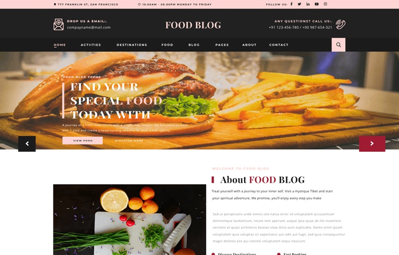 Expert Food Blog WordPress Theme