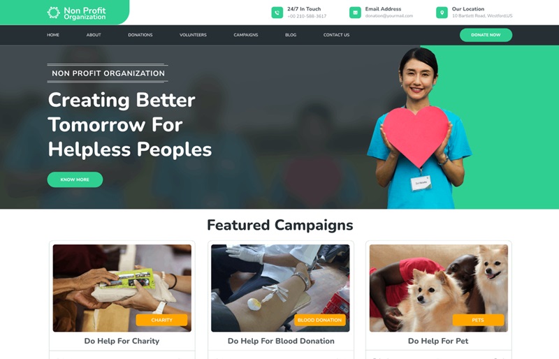 Non Profit WordPress Themes