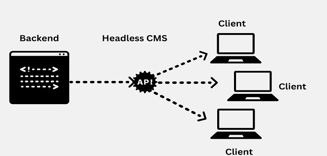 Strapi Explained