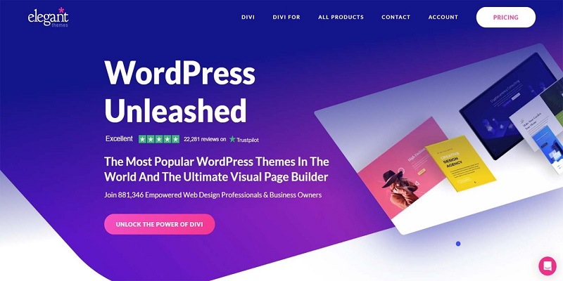 divi-wordpress-dot-org-website-builder