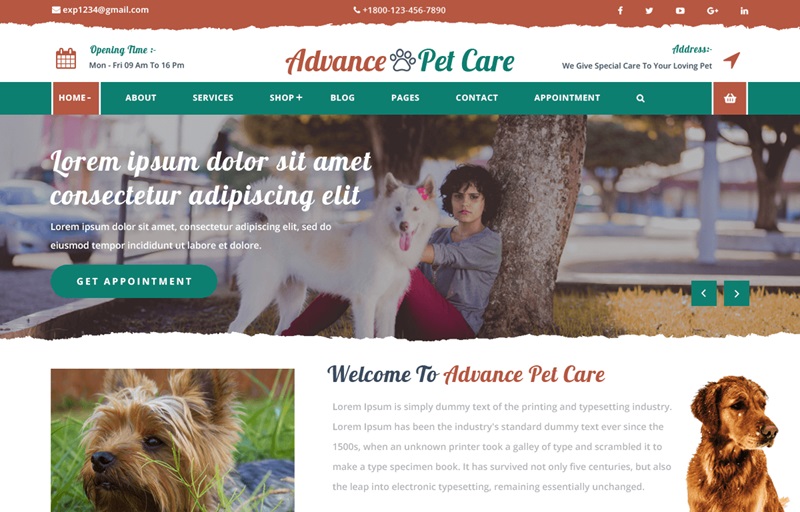 Advance Pet Care