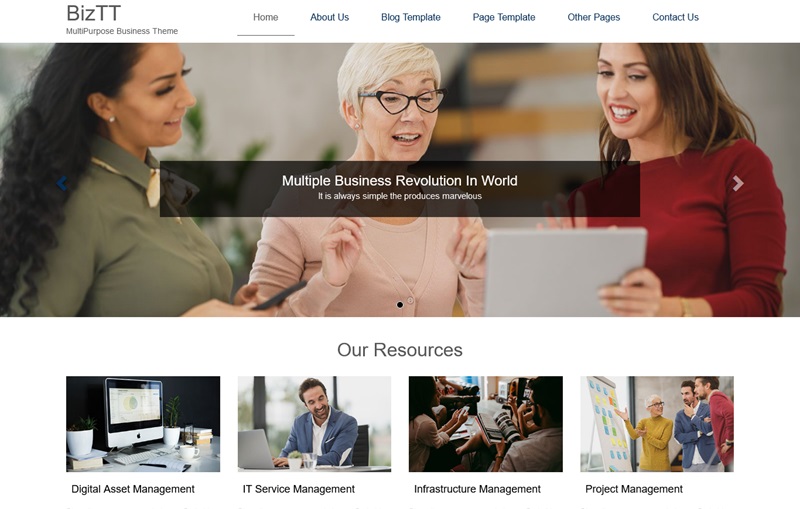 BizTT Hardware WordPress Theme