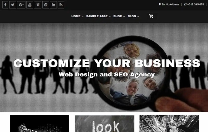 Customize Editorial WordPress Theme