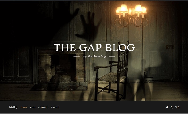 The Gap WordPress Theme for Single Product