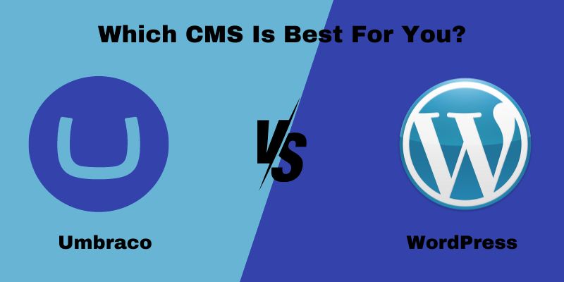 umbraco vs wordpress