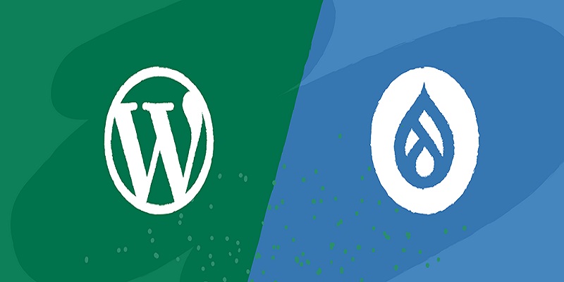 2024-WordPress-vs-other-cms_Content-Visual-03