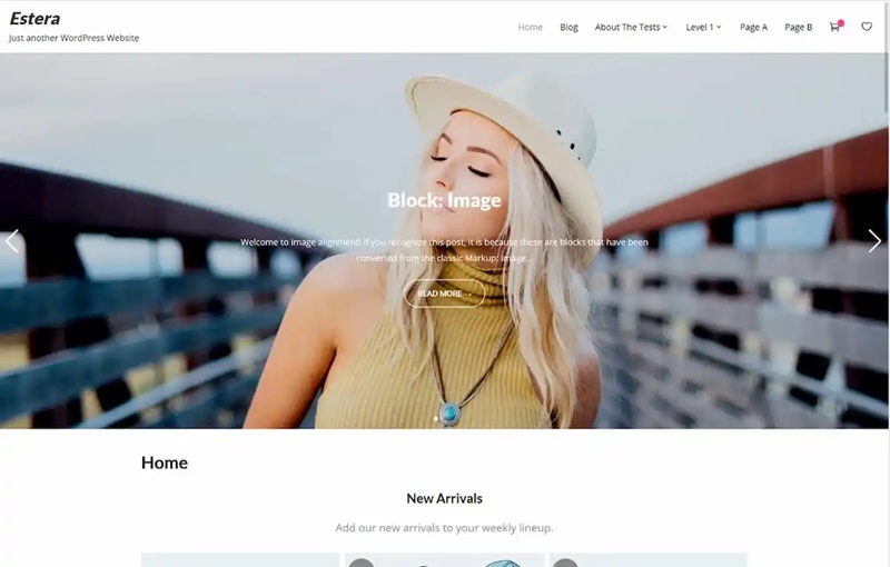 Estera WordPress Theme With Demo Content