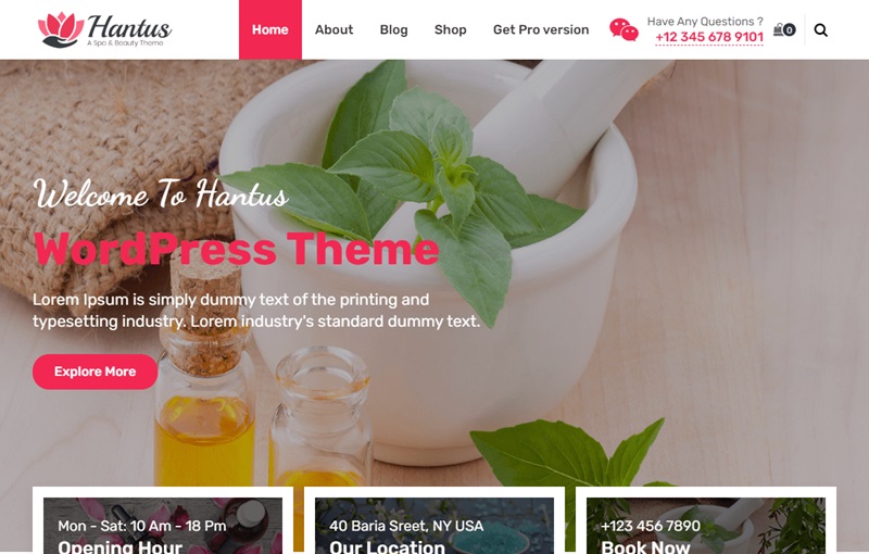 Hantus Ayurveda WordPress Theme