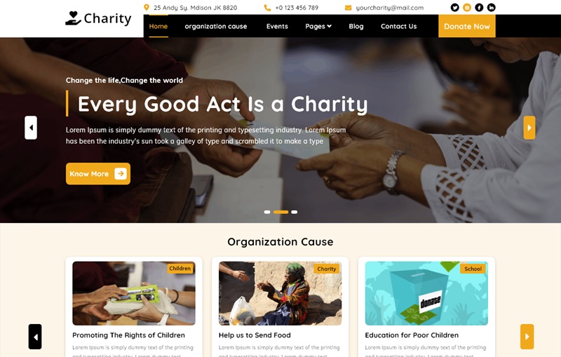 Charity WordPress Themes