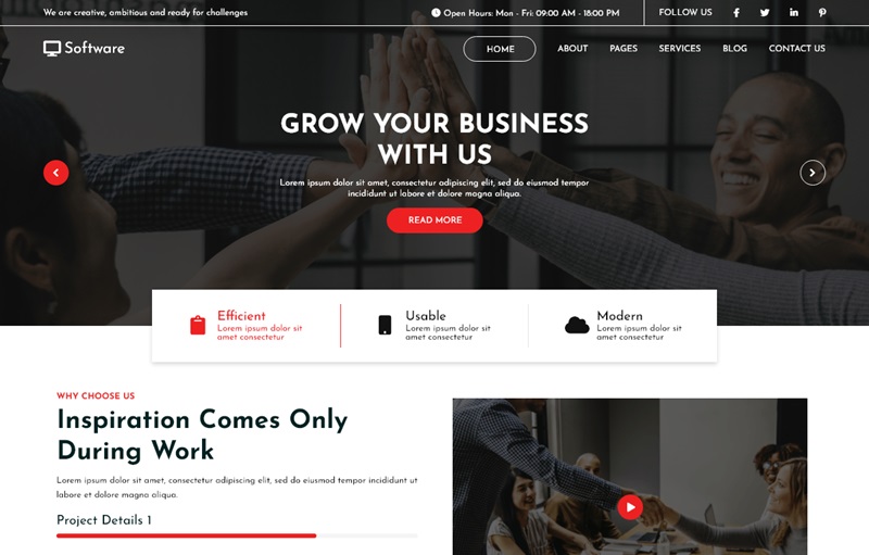 Software Company Elementor Theme