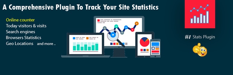 Visitor Traffic Real Time Statistics