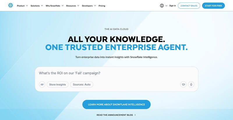 Snowflake USA-Based SaaS Product Development Companies